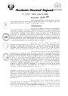 Vista preliminar de documento RDR Nº 3411-2023-GRSM-DRE