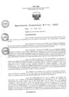 Vista preliminar de documento Resolución Directoral Nº 0480-2023-GRSM-DRE/UGEL-R