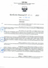 Vista preliminar de documento Resolución Directoral Nº 1041-2023-GRSM-DRE/UGEL-R