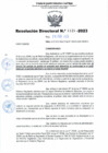 Vista preliminar de documento Resolución Directoral Nº 1128-2023-GRSM-DRE/UGEL-R