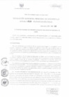 Vista preliminar de documento RESOLUCION GERENCIAL REGIONAL DE DESARROLLO SOCIAL   29