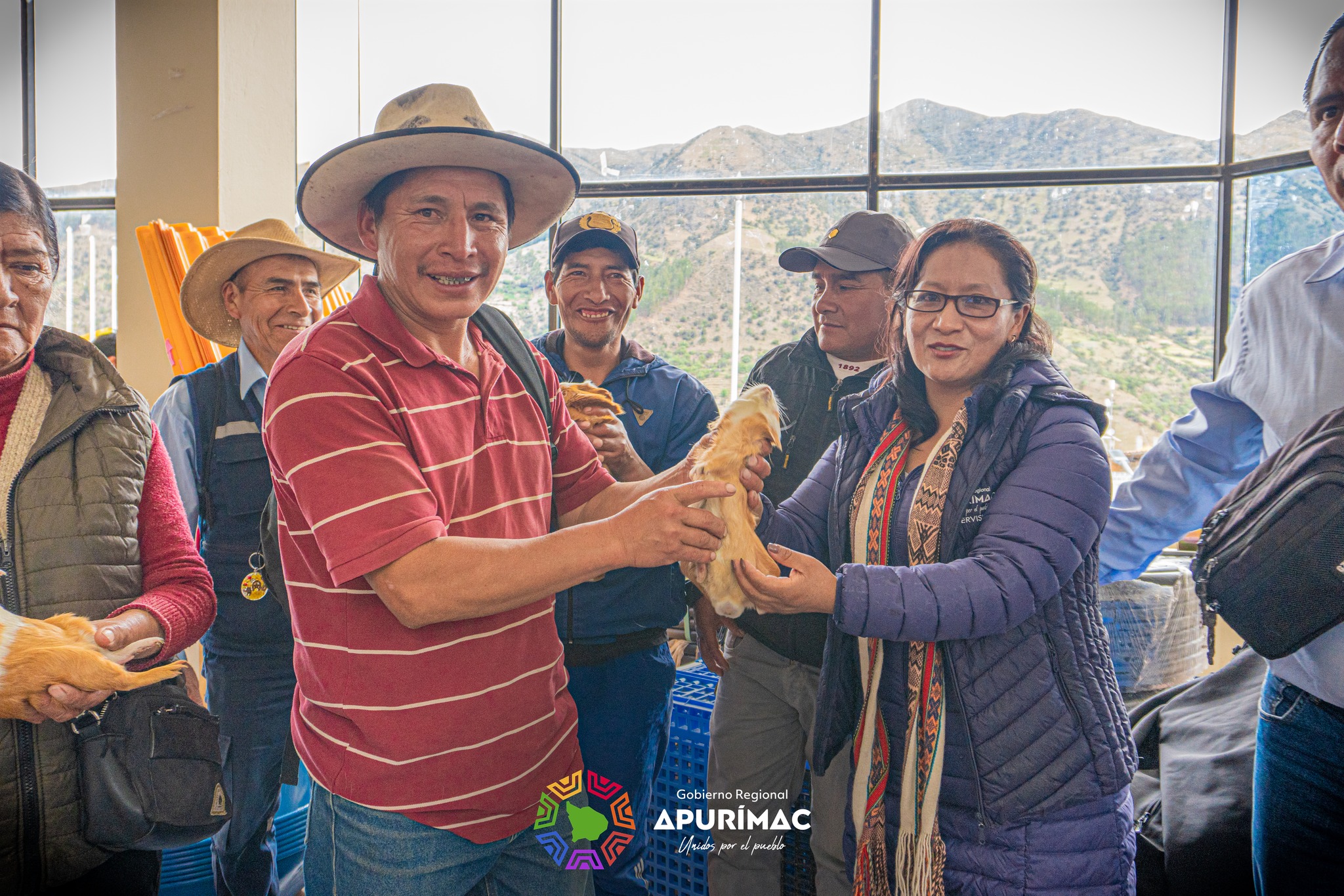 Impulsando el desarrollo regional con la entrega de cuyes reproductores de raza Perú en la provincia de Grau