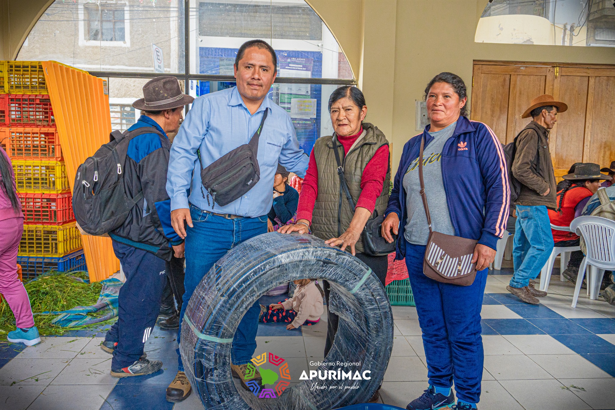 Impulsando el desarrollo regional con la entrega de cuyes reproductores de raza Perú en la provincia de Grau