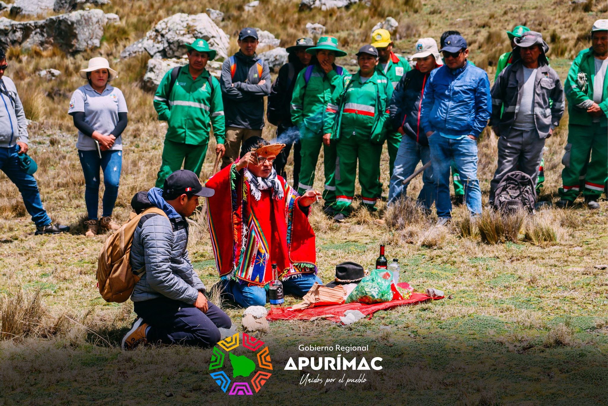 Con éxito se inició la plantación de un millón de árboles de Queuña en las provincias de Abancay y Andahuaylas