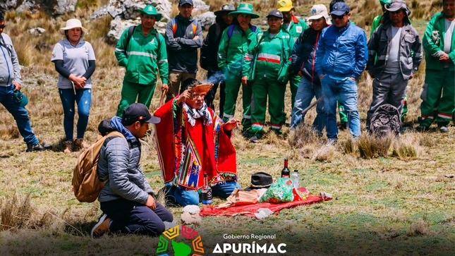 Con éxito se inició la plantación de un millón de árboles de Queuña en las provincias de Abancay y Andahuaylas