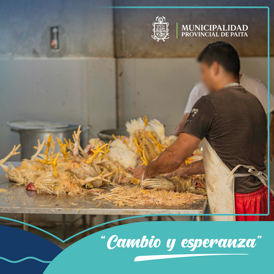 Municipalidad de Paita realiza operativos inopinados en camales de pollos clandestinos