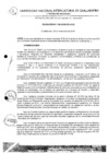 Vista preliminar de documento Resolución de Consejo de Comisión Organizadora