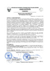 Vista preliminar de documento Resolución de Presidencia