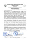 Vista preliminar de documento Resolución de Presidencia