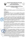 Vista preliminar de documento Resolución de Consejo de Comisión Organizadora