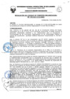 Vista preliminar de documento Resolución de Consejo de Comisión Organizadora