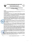 Vista preliminar de documento Resolución de Consejo de Comisión Organizadora