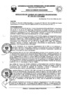 Vista preliminar de documento Resolución de Consejo de Comisión Organizadora