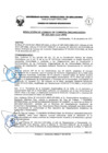 Vista preliminar de documento Resolución de Consejo de Comisión Organizadora