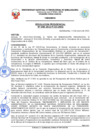 Vista preliminar de documento Resolución de Presidencia