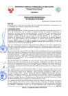 Vista preliminar de documento Resolución de Presidencia