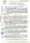 Vista preliminar de documento RESOLUCION GERENCIAL N° 004-2023-GM-MPB