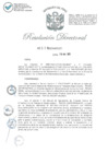 Vista preliminar de documento RD-2023-00295-999