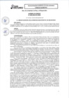 Vista preliminar de documento AC_189-2023-CM-MDSA