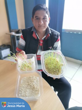 ♻️ ¡Día de eco retos para nuestro promotores ambientales! Desde sus hogares, practicaron las técnicas de germinado, 🪴 realizaron macetas recicladas y cosecharon nabos de sus propios biohuertos.
¡Tú también puedes ser parte! 🌟 Únete al Programa de Voluntariado #JesúsMaríaSomosTodos. Regístrate en 👉🏻 https://bit.ly/49gBm6g y podrás participar en actividades en diversas áreas de la municipalidad. 💚