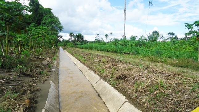 Canal de riego en Primavera Alta, distrito Inambari