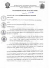 Vista preliminar de documento ordenanzaM.  028