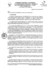 Vista preliminar de documento RDE 132-2023