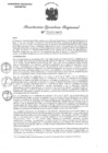 Vista preliminar de documento 000577-2023-GRA-GR