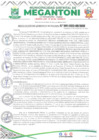 Vista preliminar de documento RESOLUCION DE GERENCIA MUNICIPAL N°1041-2023