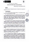 Vista preliminar de documento rd246-2023