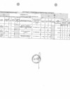 Vista preliminar de documento Anexo inclusión PAC