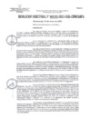 Vista preliminar de documento RD103-2023