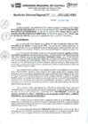 Vista preliminar de documento RDR_N_331-2023-GRU-DRA