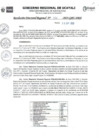Vista preliminar de documento RDR_N_336-2023-GRU-DRA