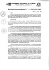 Vista preliminar de documento RDR_N_337-2023-GRU-DRA