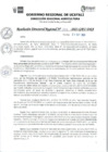 Vista preliminar de documento RDR_N_342-2023-GRU-DRA