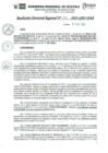 Vista preliminar de documento RDR_N_347-2023-GRU-DRA