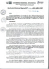 Vista preliminar de documento RDR_N_348-2023-GRU-DRA