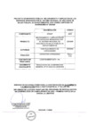 Vista preliminar de documento TDR