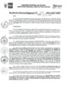 Vista preliminar de documento RDR_N_359-2023-GRU-DRA