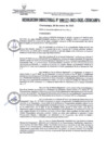Vista preliminar de documento RD127-2023