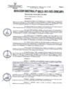 Vista preliminar de documento RD131-2023
