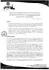 Vista preliminar de documento Resolución de SubGerencia N° 0011-2021-SGAPI-MDM