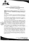 Vista preliminar de documento Resolución de SubGerencia N° 0007-2020-SGAPI-MDM
