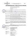 Vista preliminar de documento RD133-2022
