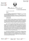 Vista preliminar de documento RESOLUCION DIRECTORAL N°319-2023[R][R][R][R][R][R][R]