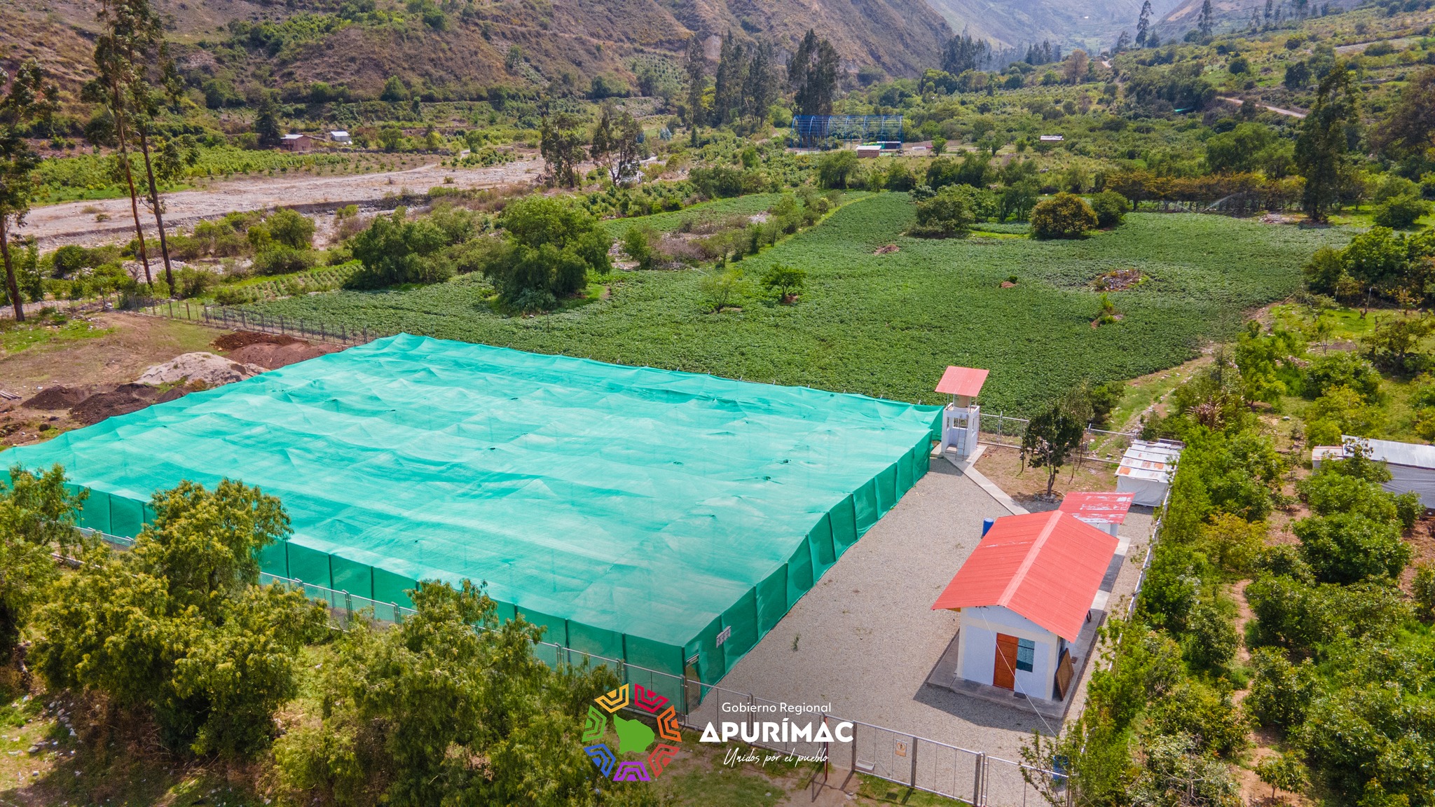 Gobierno regional de Apurímac impulsa proyecto para incrementar la producción y productividad del palto en la región