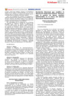 Vista preliminar de documento RD0016_2023EF5401