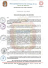 Vista preliminar de documento Resolucion 223