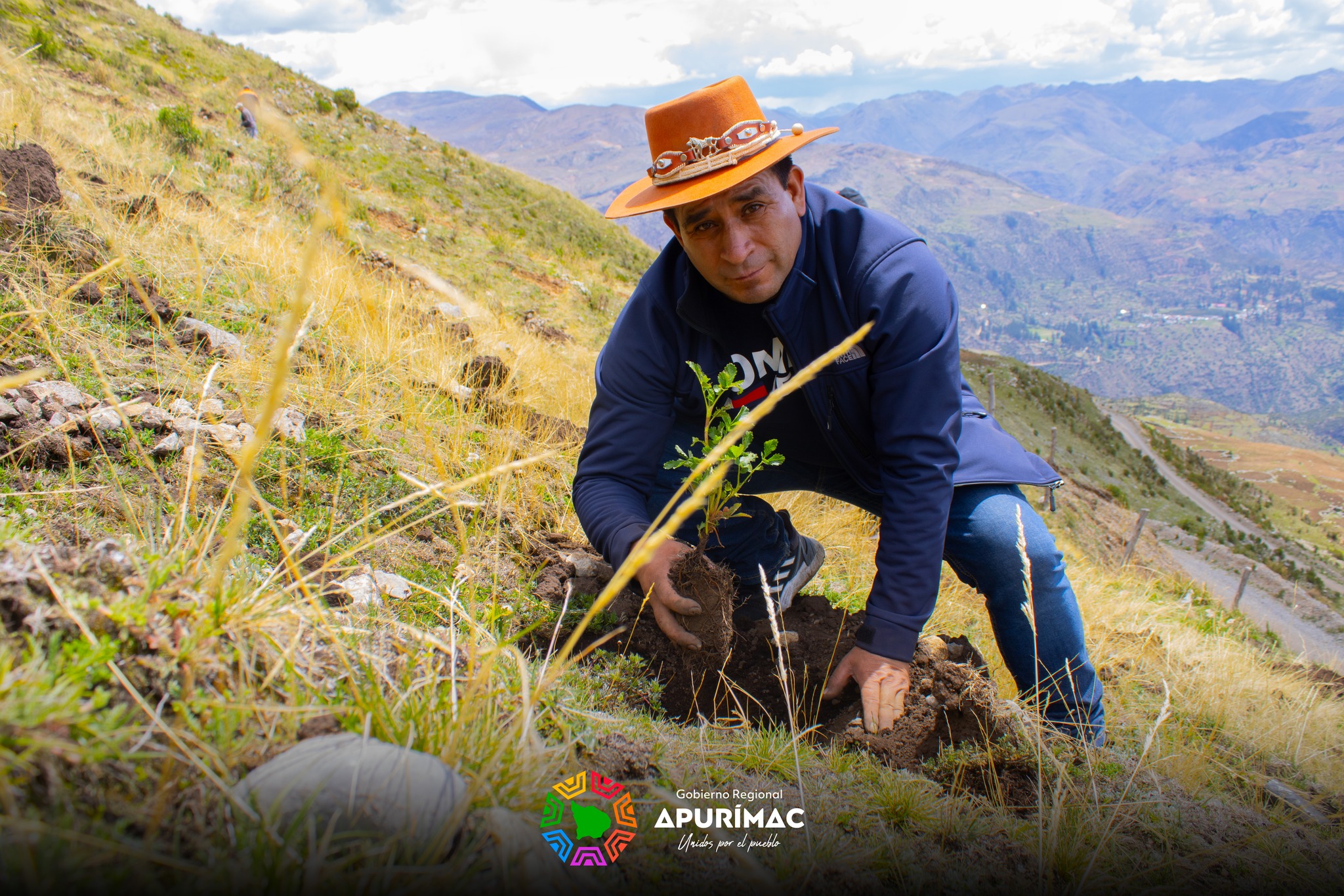 En Huaquirca-Antabamba inició la primera etapa de la plantación de un millón de árboles de Queuña